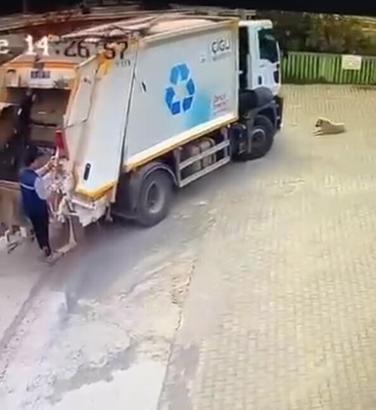 Çöp kamyonu, sokakta oturan köpeği ezerek öldürdü; o anlar kamerada