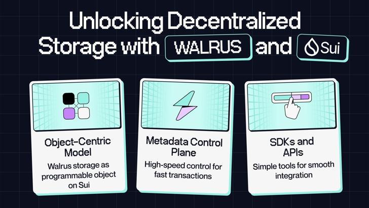 Programlanabilir depolama özelliği içeren Walrus, kullanıma sunuldu