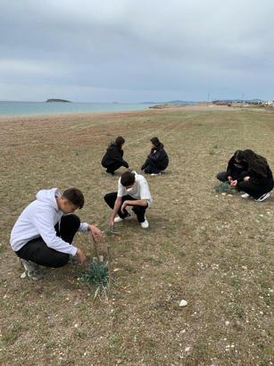 Liseliler, kum zambakları için seferber oldu