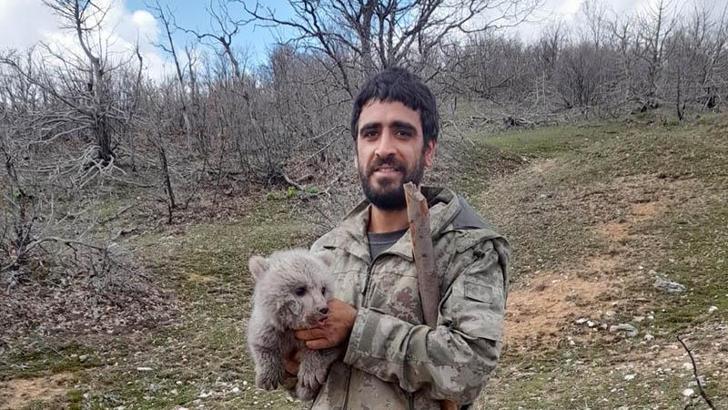 Ayı yavrusunu köpeklerin saldırısından kurtarıp, doğaya bıraktılar