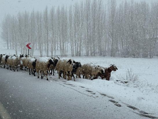 Başkale'de kar yağışı; ilçe beyaza büründü/Ek fotoğraflar