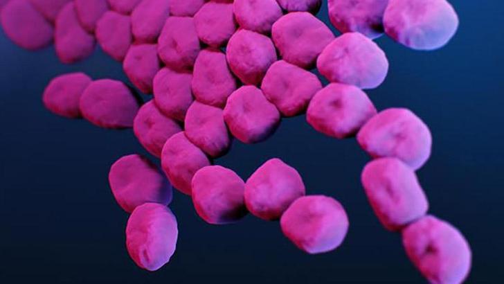 Ölümcül antibiyotik dirençli ‘süper bakteri’ tespit edildi