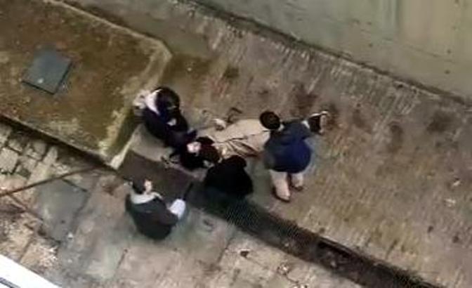 İstanbul - Üniversite öğrencisi 4 metre yükseklikten beton zemine düştü