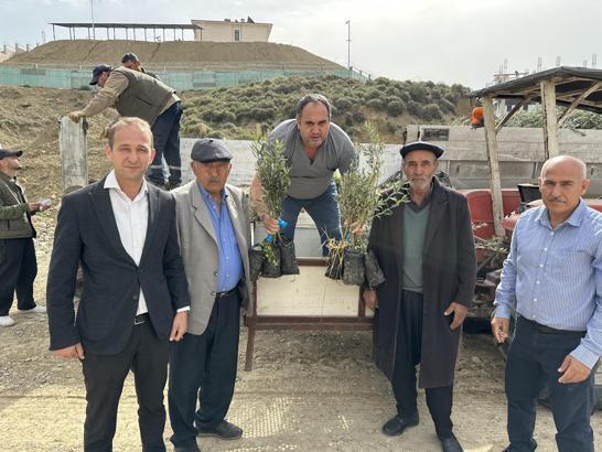 Toprakkale'de çiftçiye yüzde 60 hibeli zeytin fidanı desteği