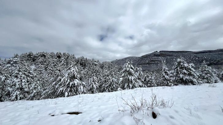 Akseki'nin yükseklerinde kar 20 santimi buldu