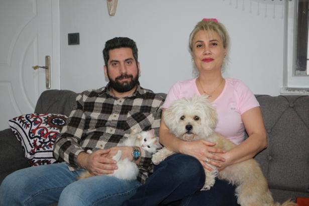 Köpek yavru kediye annelik yapıyor