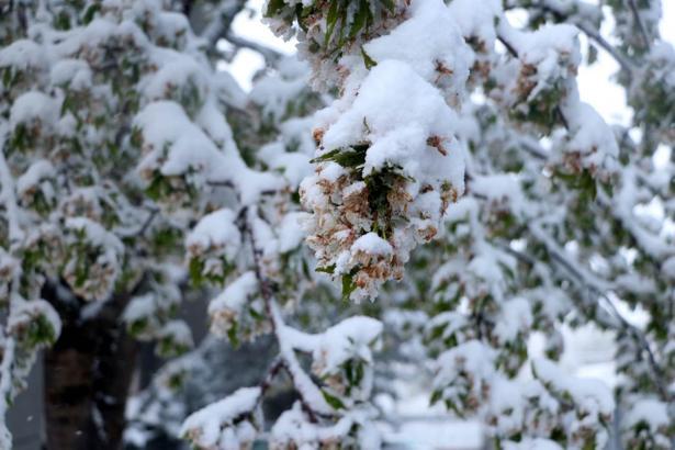 Ankara’da kar yağışı etkili oldu / Ek fotoğraflar