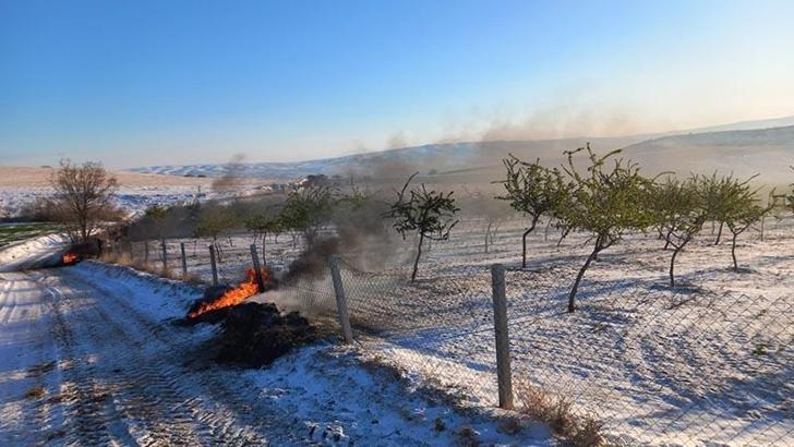 Badem bahçesinde saman ve araç lastiğiyle 'don' önlemi
