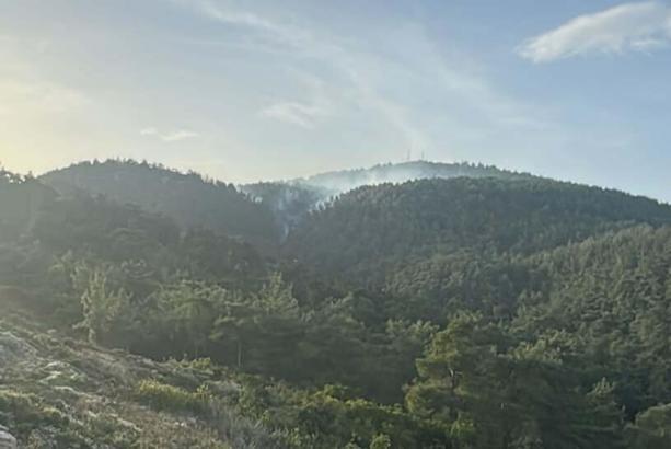 Muğla'da ormanlara giriş 1 Mayıs'tan itibaren yasak