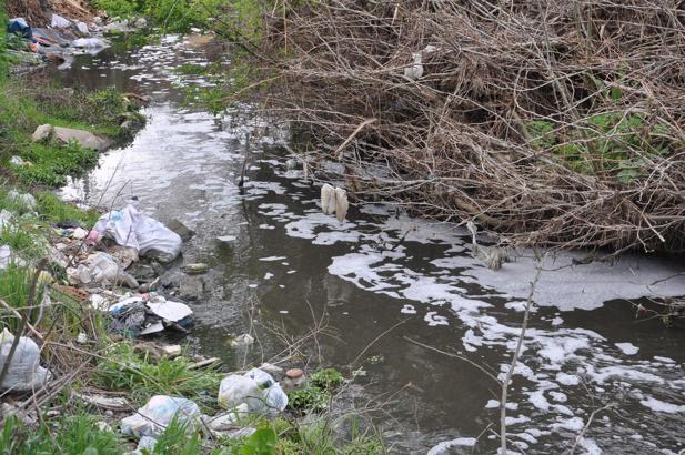 Kırklareli'de Saranlı Deresi'nde kirlilik nedeniyle köpükler oluştu
