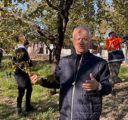 Özköse: Zirai don kayısı bahçelerini vurdu, üreticimizin yanındayız