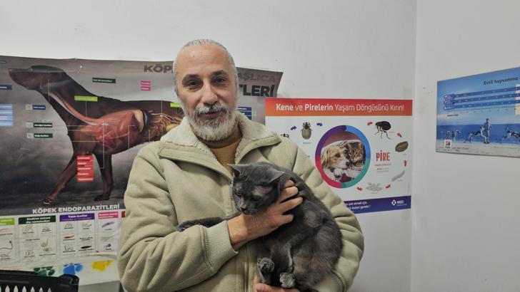 Kediye altından diş yapıldı / Ek fotoğraflar