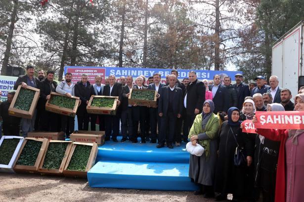Gaziantep’te çitçilere 7 milyon fide dağıtımı