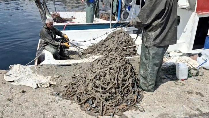 Marmara'yı müsilaj vurdu; Tekirdağlı balıkçılar av sezonunu kapattı/Ek fotoğraflar