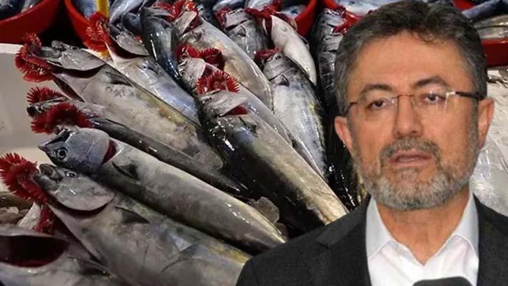 Bakan Yumaklı: Son yılların en verimli palamut sezonunu geride bıraktık