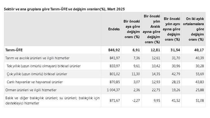 TÜİK: Tarım ürünleri üretici fiyatları martta arttı
