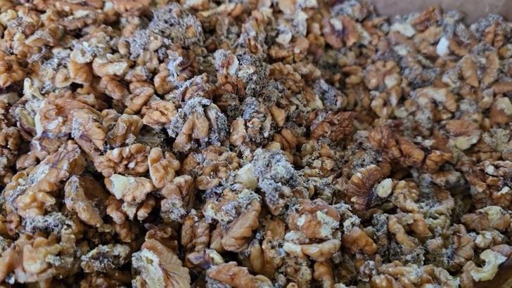 Şanlıurfa'da, 11 ton kurtlanmış ceviz içi ele geçti