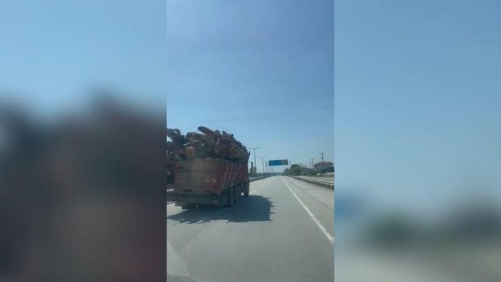 Yoldaki tomruk yüklü kamyon, sürücüleri tedirgin etti