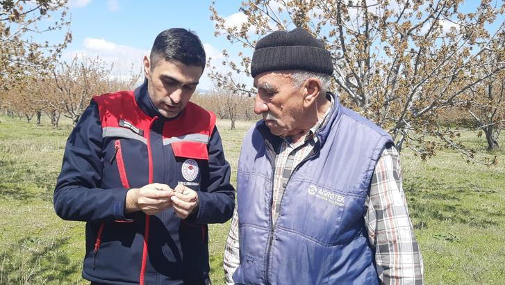'Bu sene kimse bölgeden kiraz beklemesin'