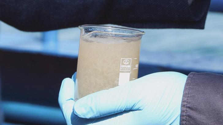 İstanbul - Müsilaj Bilim ve Teknik Kurulu, Marmara açıklarında incelemelerde bulundu