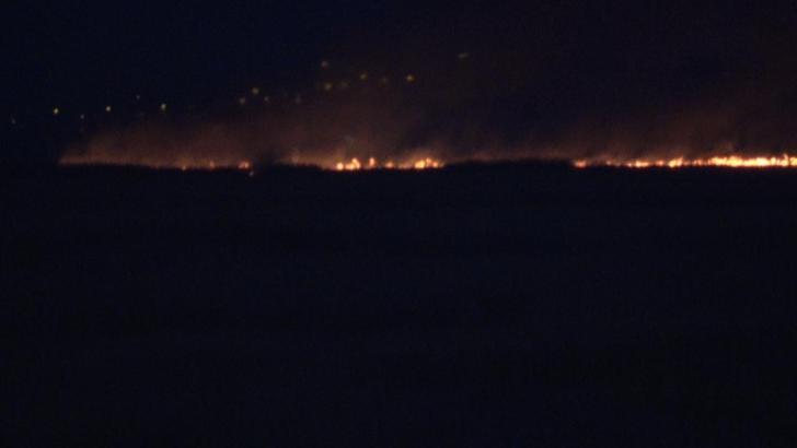 Sultan Sazlığı Milli Parkı'nda yangın (2)