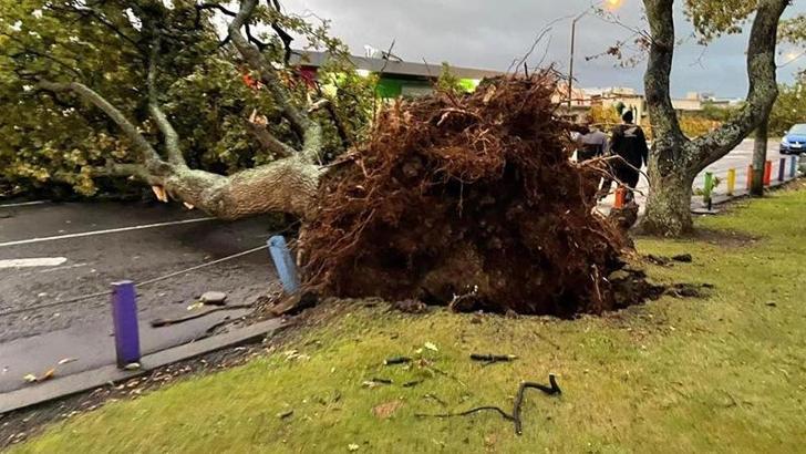 Yeni Zelanda'da fırtına elektrik kesintisine neden oldu