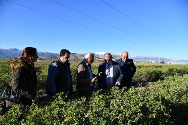 Isparta'da 'zirai don' etkisi; elma, gül, kiraz ve kayısıda kayıp büyük