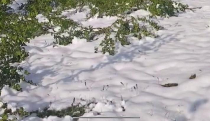 Zirai dondan etkilenen bahçesini videoya çekip ‘Sela’ okudu