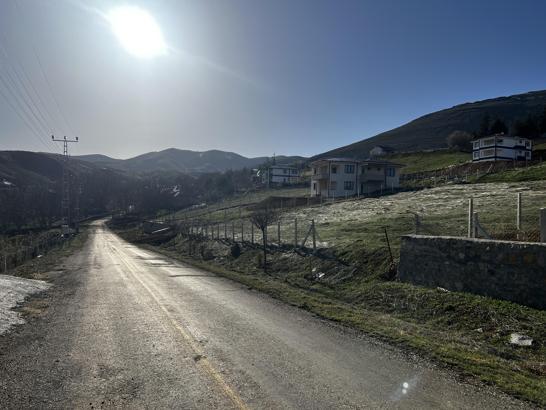 Çoban köpeklerinin saldırısında öldü (2)