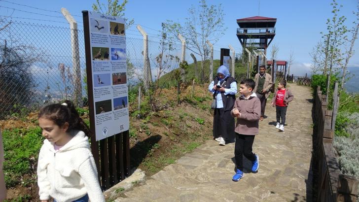 Rize’de Kafkaslar’a göç eden 12 kuş türü gözlemlendi