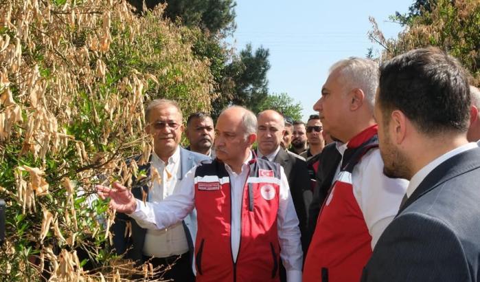 Tarım ve Orman Bakan Yardımcısı Polat'tan don incelemesi
