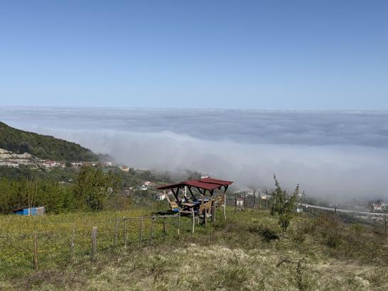 Amasra'da sis etkili oldu