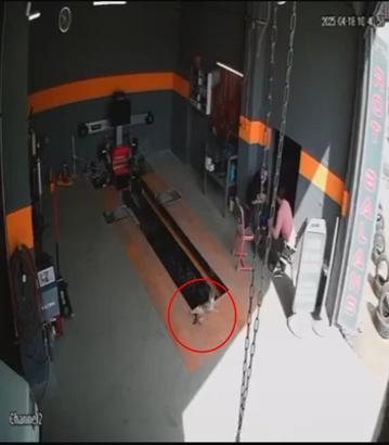 Kedinin raylı kanal krikosuna düştüğü an kamerada