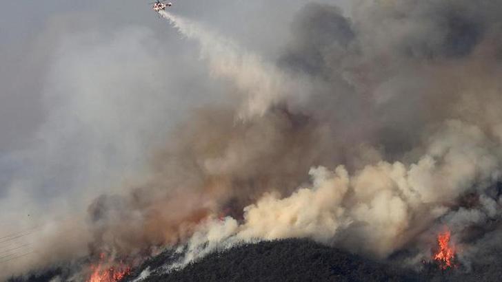 Güney Kore'de orman yangınlarında 104 bin hektar alan zarar gördü