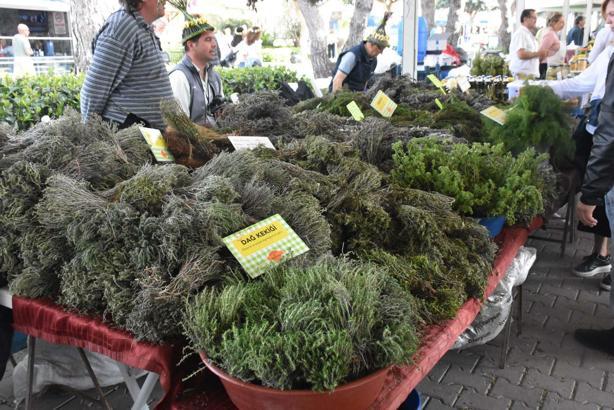 Alaçatı Ot Festivali'nde renkli kortej / Ek Fotoğraflar