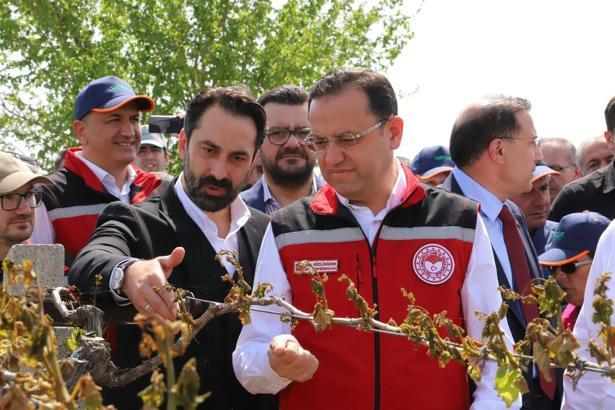 Bakan Yardımcısı Gizligider: 36 bin 738 üreticimiz don zararına uğradı