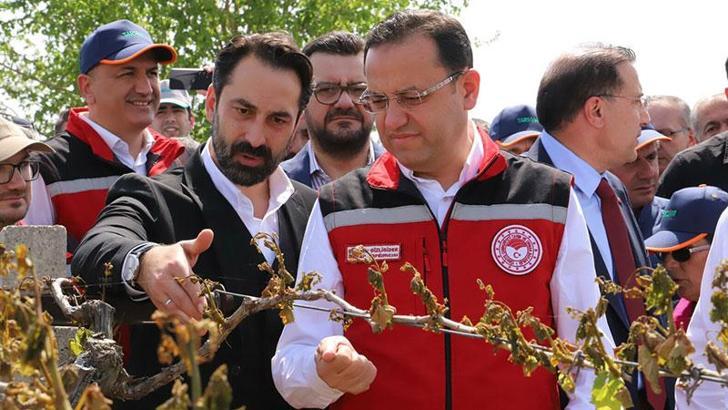 Bakan Yardımcısı Gizligider: 36 bin 738 üreticimiz don zararına uğradı