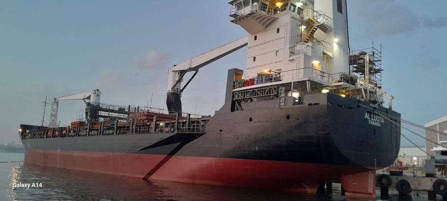 Yalova'da balast suyunu denize döktüğü tespit edilen gemiye 26 milyon lira ceza