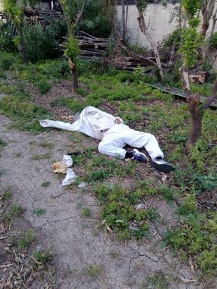 Adana'da parmağını arı sokan arıcı hayatını kaybetti