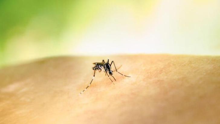 Kolombiya Cumhurbaşkanı Petro'dan ‘sarıhumma aşısı’ çağrısı