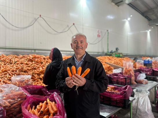 Zirai dona karşı soğuk hava tesisi ile önlem