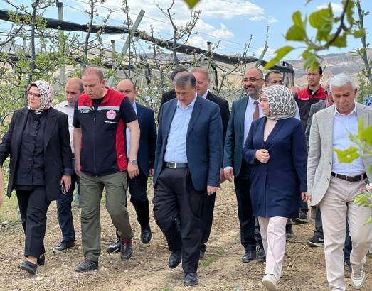 AK Partili Böhürler, 'zirai don' sonrası çiftçilerle bir araya geldi