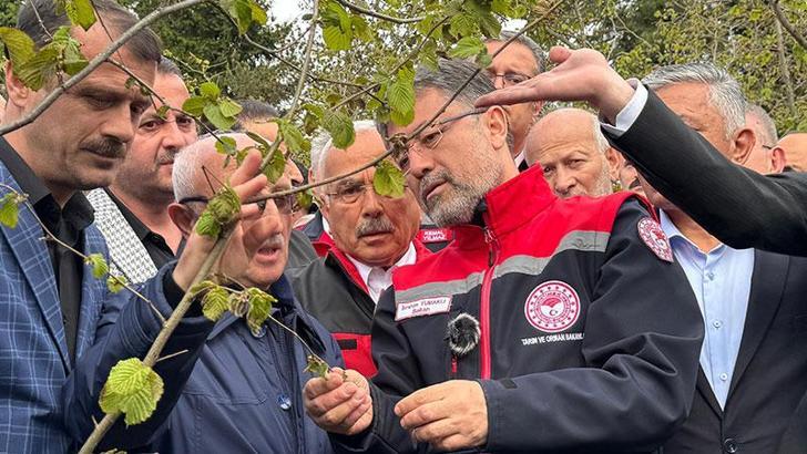 Bakan Yumaklı: Zirai don nedeniyle zarar gören ağaçlarda gelişigüzel budama yapılmamalı