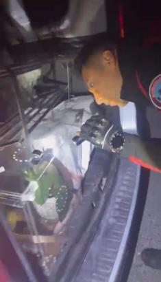 İstanbul - Maslak’ta polis uygulamasında piton ve zehirli Mısır yılanları ele geçirildi; o anlar kamerada