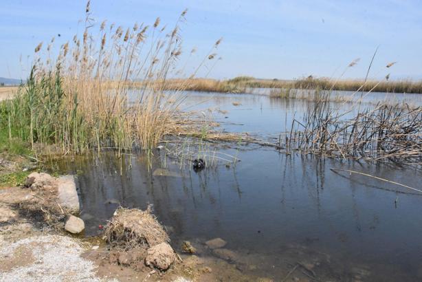 'Gediz Nehri kapkara, dokunmaya korkar hale geldik'