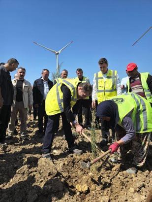 Çanakkale'de 100 bin fidanlık 'bakanlık' hatıra ormanı