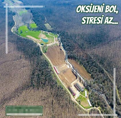 Kırklareli'de selde 6 kişinin ölümünde Danıştay, 12 kamu görevlisi hakkında adli soruşturmaya hükmetti