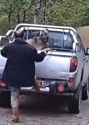 Kamyonette köpeğe halatla şiddet uyguladı, gözaltına alındı