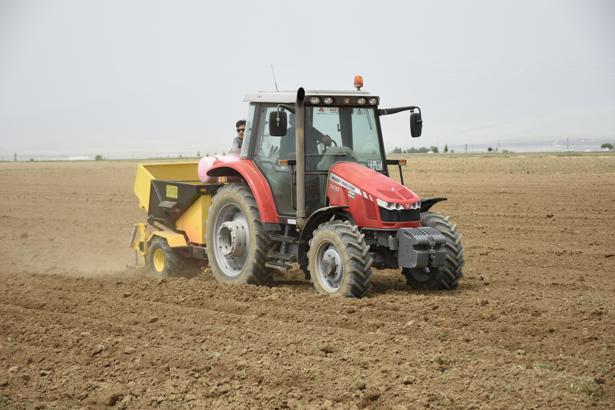 Turfanda patates deposu Niğde'de ekim alanları azaldı