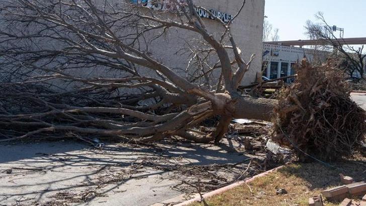 ABD’de fırtına: 3 ölü